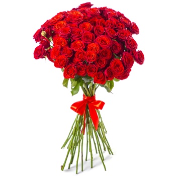 31 красная кустовая роза