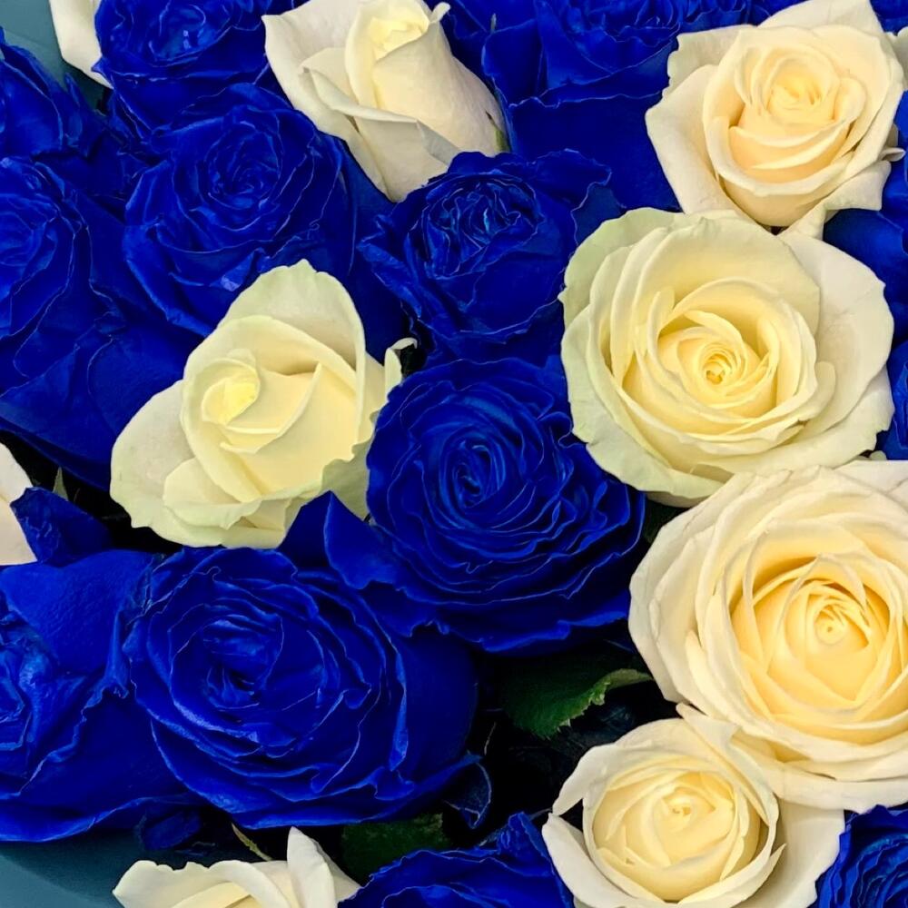 Букет из 51 синей и белой розы