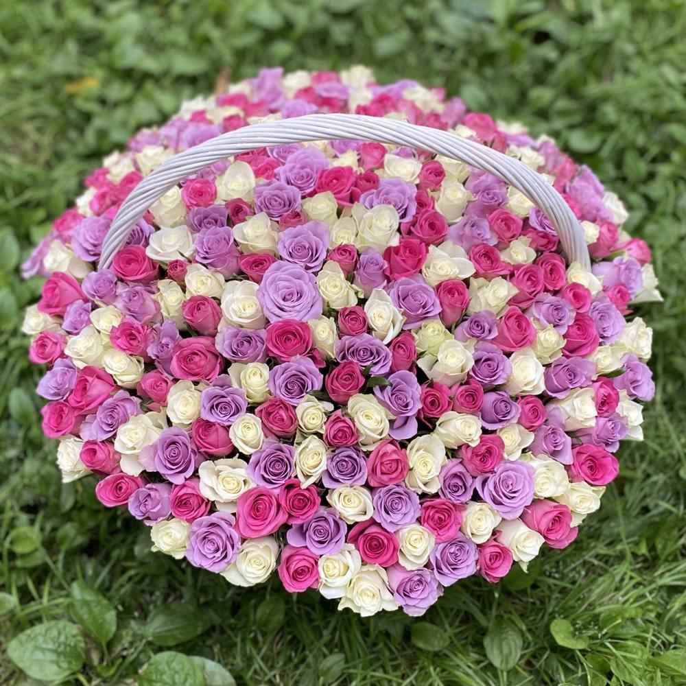 301 роза нежный Микс в корзине