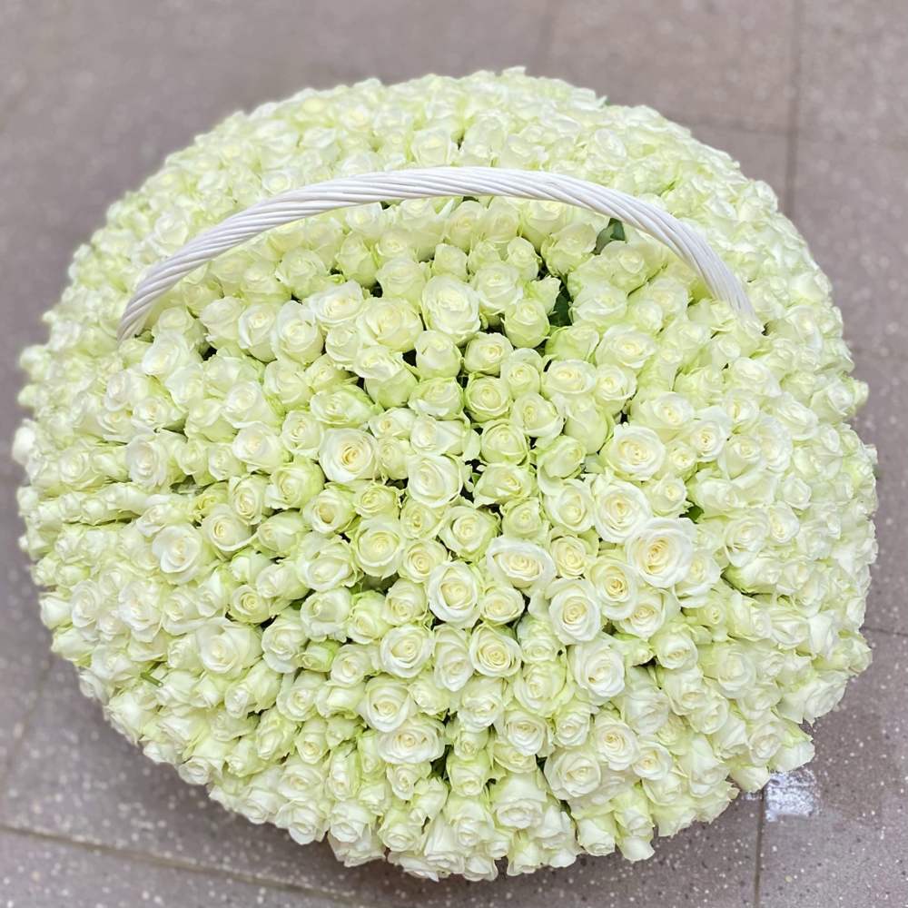 501 белая роза в корзине