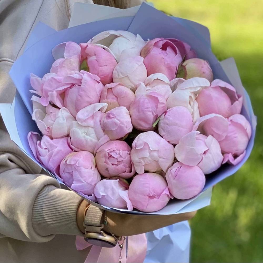 Букет из 25 нежно-розовых пионов