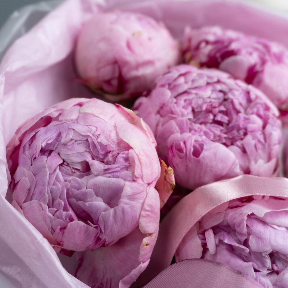 Букет из 9 нежно-розовых пионов