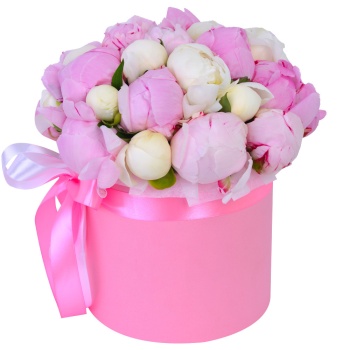 Букет из 25 разноцветных пионов в розовой шляпной коробке
