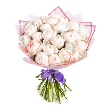 Букет из 25 белых пионов