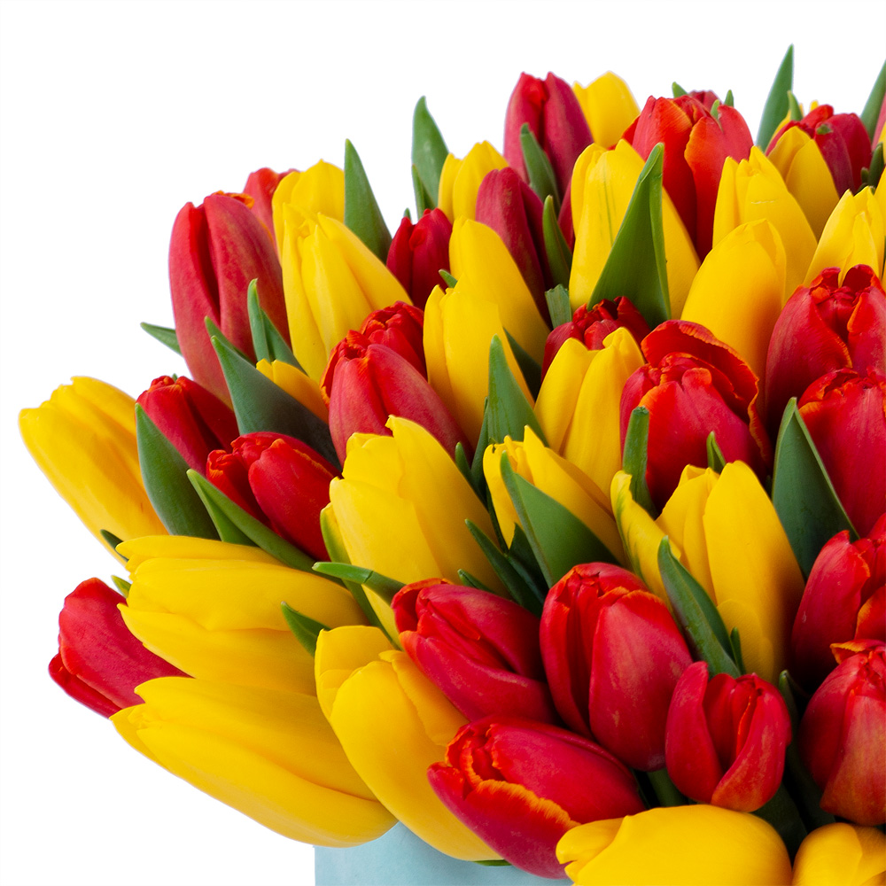 101 разноцветный тюльпан в зеленой бархатной шляпной коробке