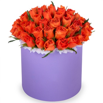 51 оранжевая роза в фиолетовой шляпной коробке