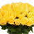 Букет из 55 желтых роз Букет из 55 желтых роз