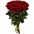 Букет из 19 красных роз