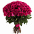 Букет из 55 малиновых роз