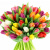 Букет MIX из 51 тюльпана Букет MIX из 51 тюльпана