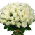 Букет из 55 белых роз Букет из 55 белых роз