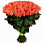 Букет из 55 коралловых роз