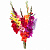 Букет MIX из 19 гладиолусов
